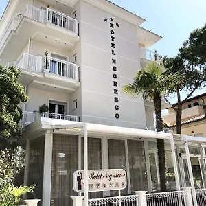 https://hotel-negresco-riccione.emilia-romagnahotels.net